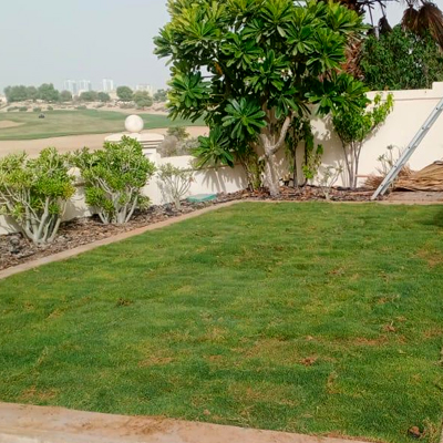 Landscaping Services Dubai